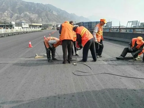 宜兴道路桥梁病害治理